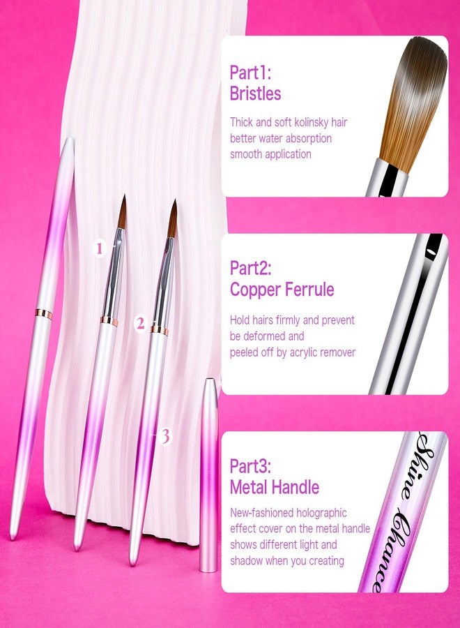 Shine Chance 4Pcs Acrylic Nail Brushes Set, Kolinsky Nail Art Brush, Art Design & Polish Mistake Cleaning Manicure Tools for Women Acrylic Application (Size 6 8 12 14) - Image 2